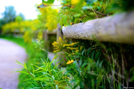 正值端午安康,巧遇中考落幕,祝学子们金榜题名,未来可期-中考遇端午说说