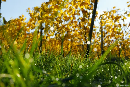 正值端午安康,巧遇中考落幕,祝学子们金榜题名,未来可期-中考遇端午说说