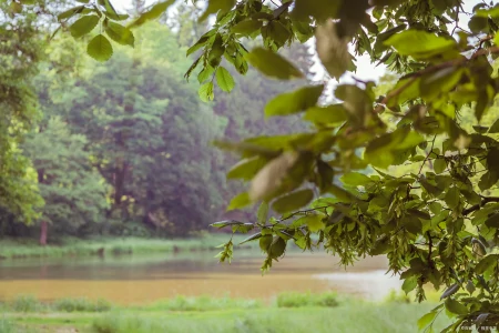 正值端午安康,巧遇中考落幕,祝学子们金榜题名,未来可期-中考遇端午说说