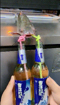 爆笑短笑话,笑到肚子疼(笑到肚子痛的100个短笑话图片)