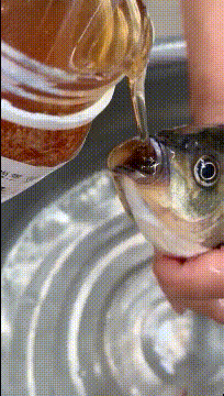 爆笑短笑话,笑到肚子疼(笑到肚子痛的100个短笑话图片)