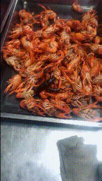 爆笑短笑话,笑到肚子疼(笑到肚子痛的100个短笑话图片)