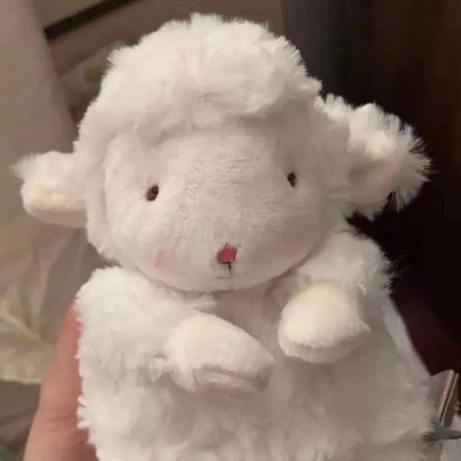 2021年度最新微信头像合集-微信2021年微信头像