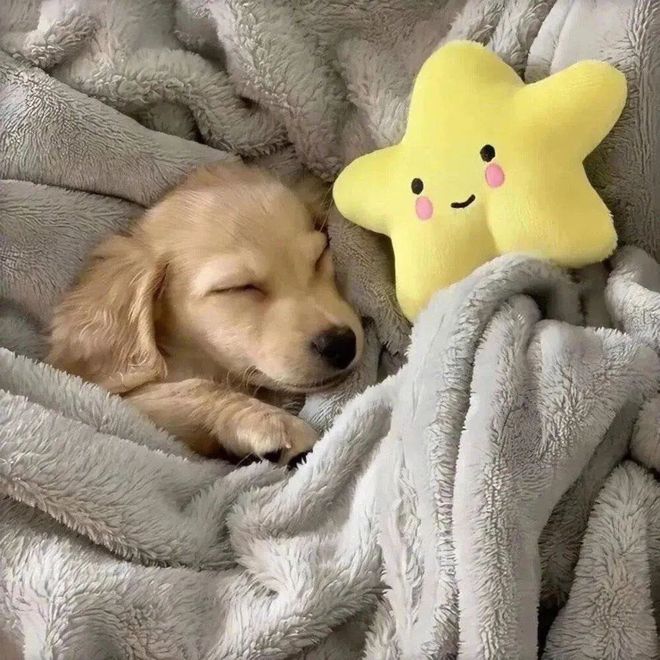 2021年度最新微信头像合集-微信2021年微信头像