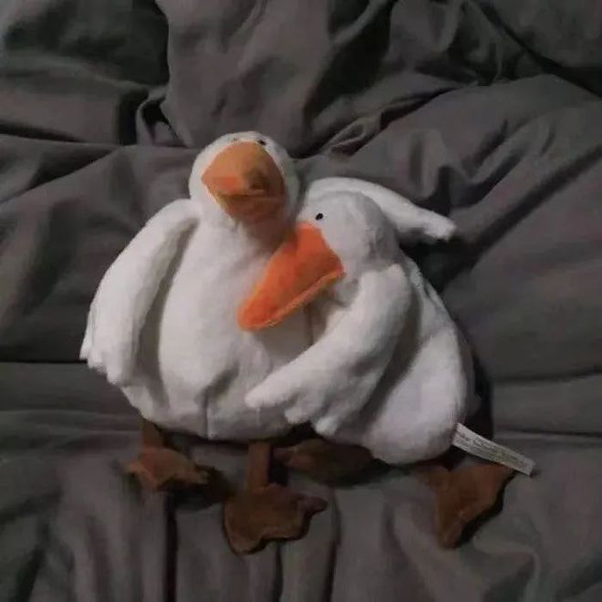 2021年度最新微信头像合集-微信2021年微信头像