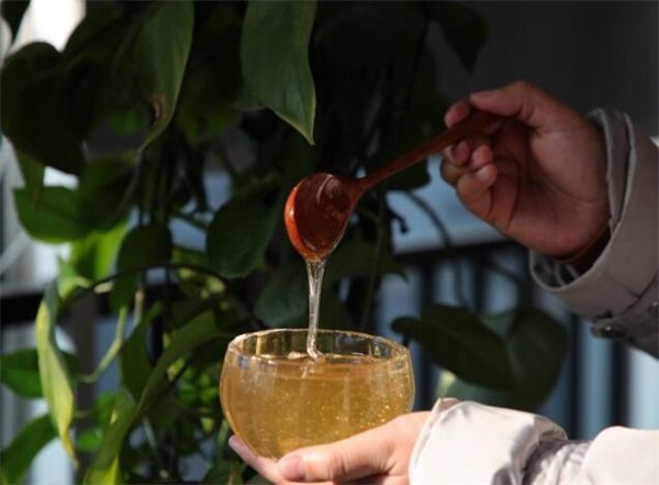 枇杷花蜂蜜的功效与作用,枇杷蜜有什么好处?(枇杷花蜂蜜水的作用与功效与禁忌)