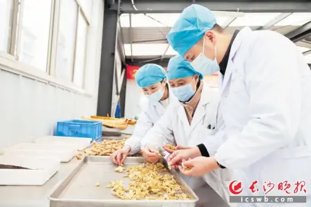 走进制剂室,揭开“如法炮制”神秘面纱丨医院里 你不知道的-如法炮制的释义与举例