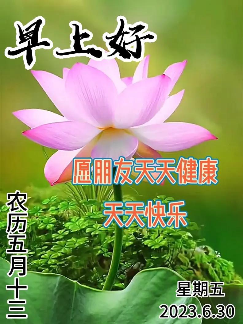 6月30日|星期五早上好!新的一天,新的问候祝福,早安图片-江陵县社区