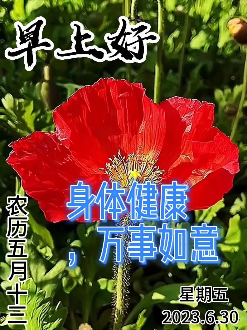 6月30日|星期五早上好!新的一天,新的问候祝福,早安图片-江陵县社区