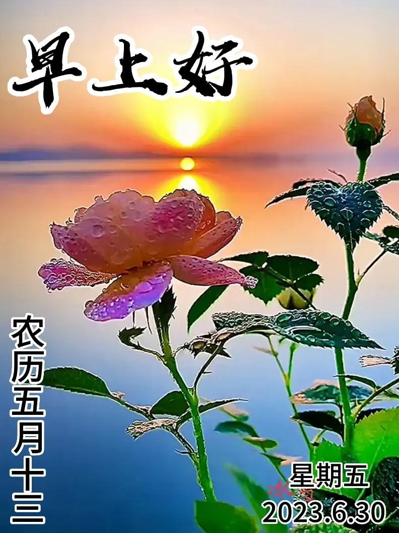 6月30日|星期五早上好!新的一天,新的问候祝福,早安图片-江陵县社区