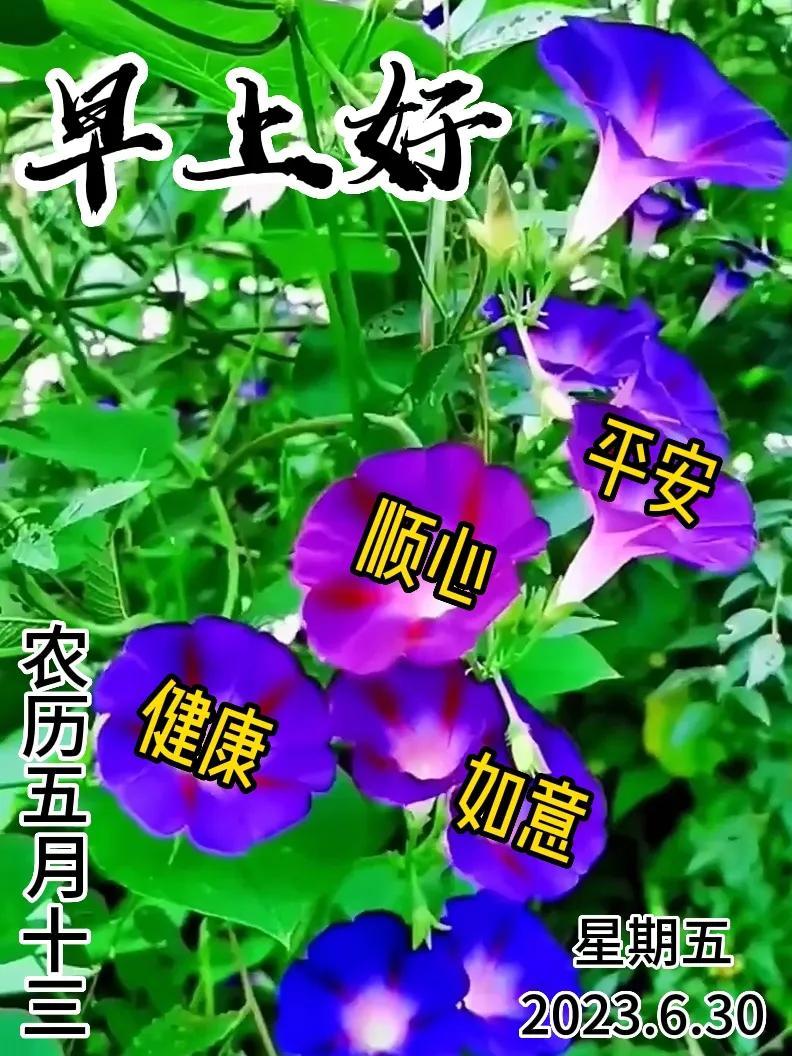 6月30日|星期五早上好!新的一天,新的问候祝福,早安图片-江陵县社区