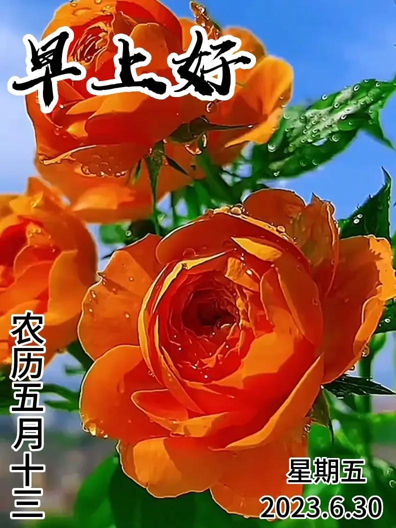 6月30日|星期五早上好!新的一天,新的问候祝福,早安图片-江陵县社区