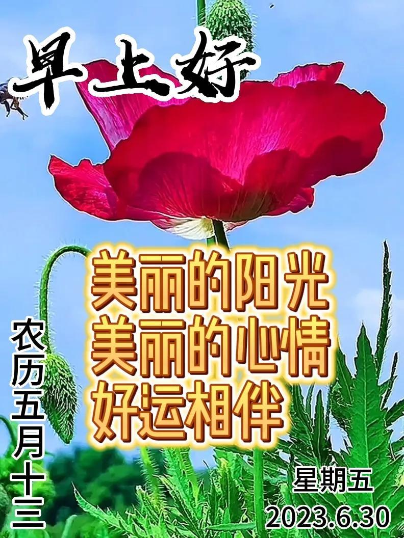 6月30日|星期五早上好!新的一天,新的问候祝福,早安图片-江陵县社区