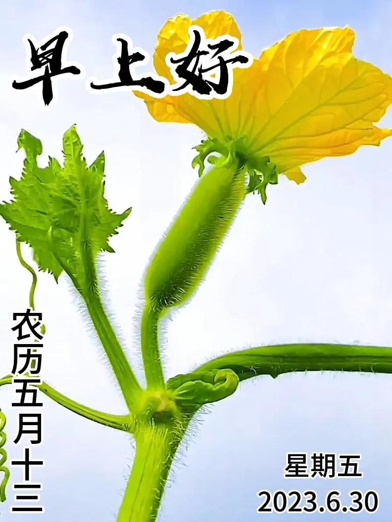 6月30日|星期五早上好!新的一天,新的问候祝福,早安图片-江陵县社区