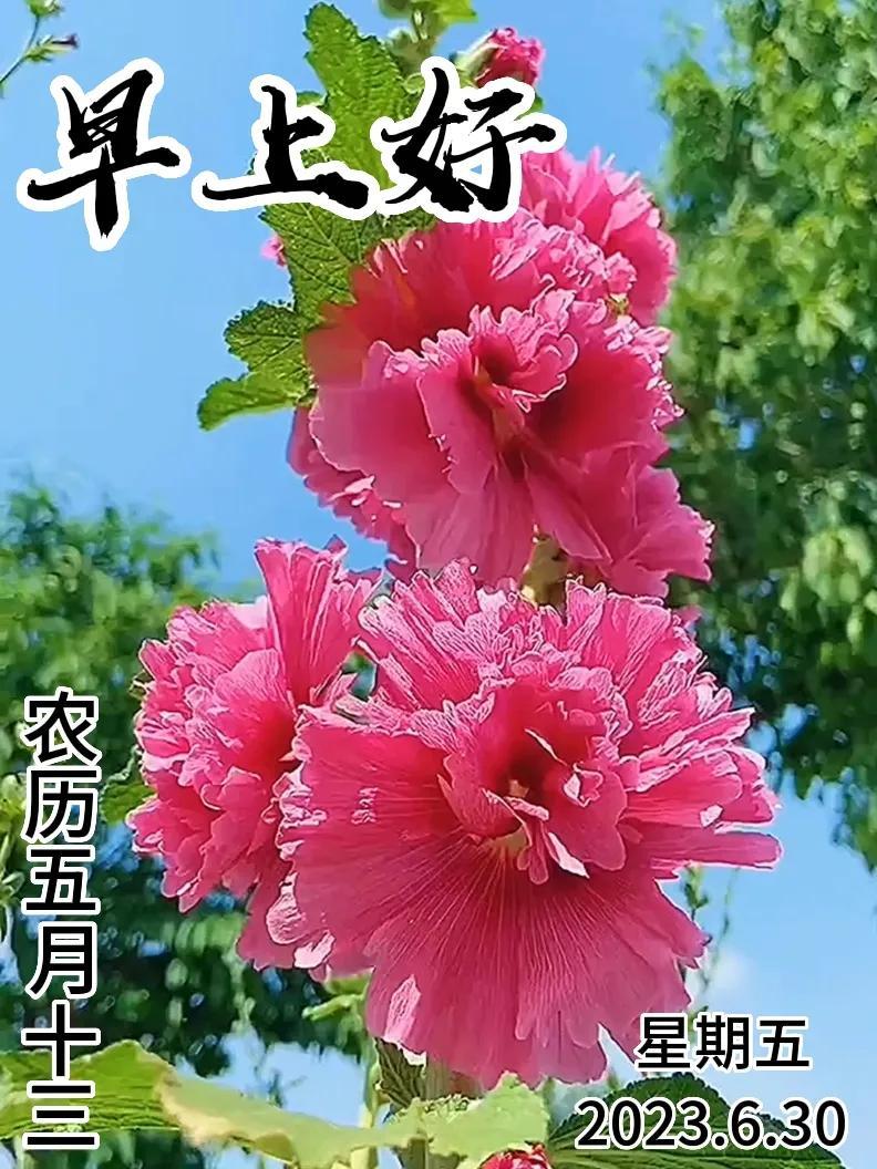 6月30日|星期五早上好!新的一天,新的问候祝福,早安图片-江陵县社区