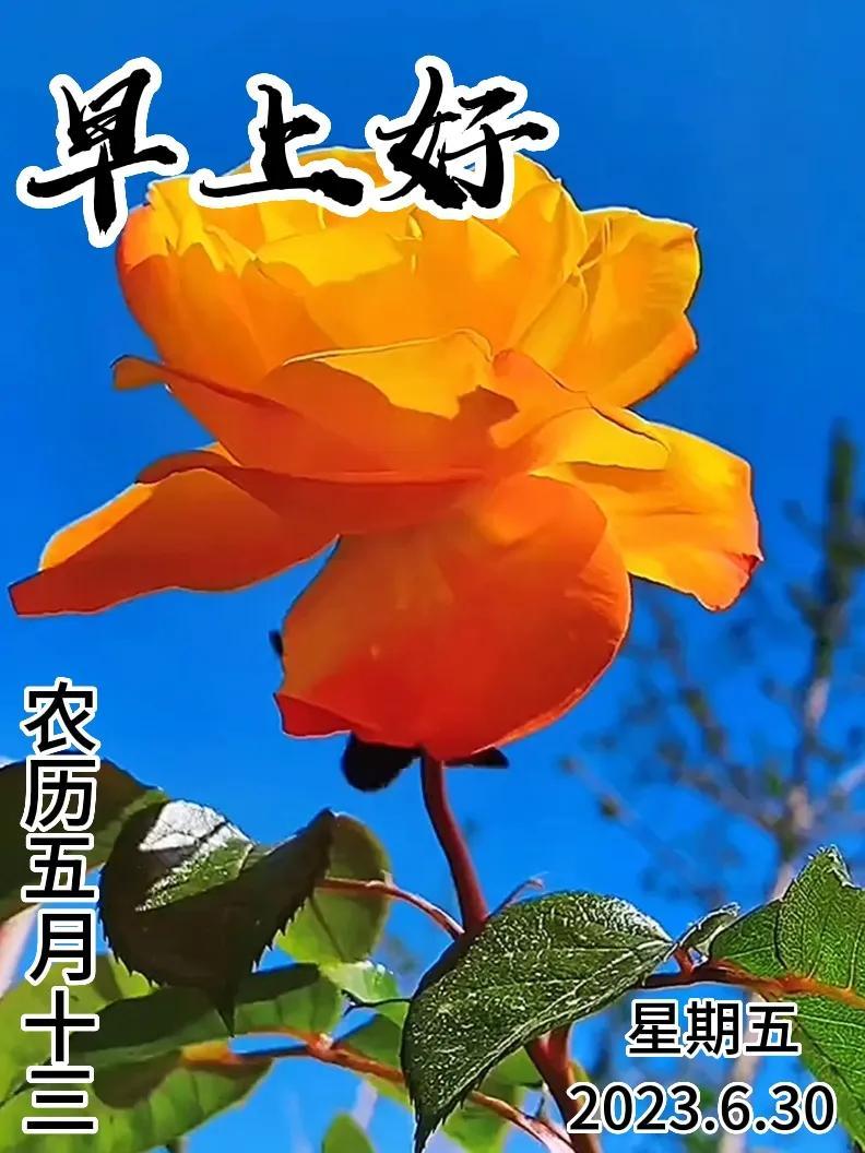 6月30日|星期五早上好!新的一天,新的问候祝福,早安图片-江陵县社区