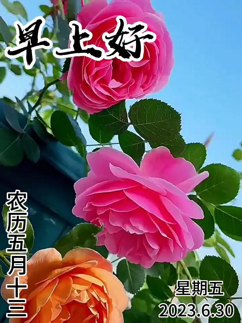 6月30日|星期五早上好!新的一天,新的问候祝福,早安图片-江陵县社区