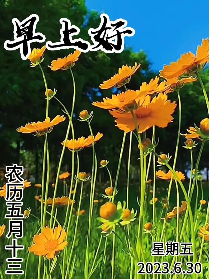 6月30日|星期五早上好!新的一天,新的问候祝福,早安图片-江陵县社区