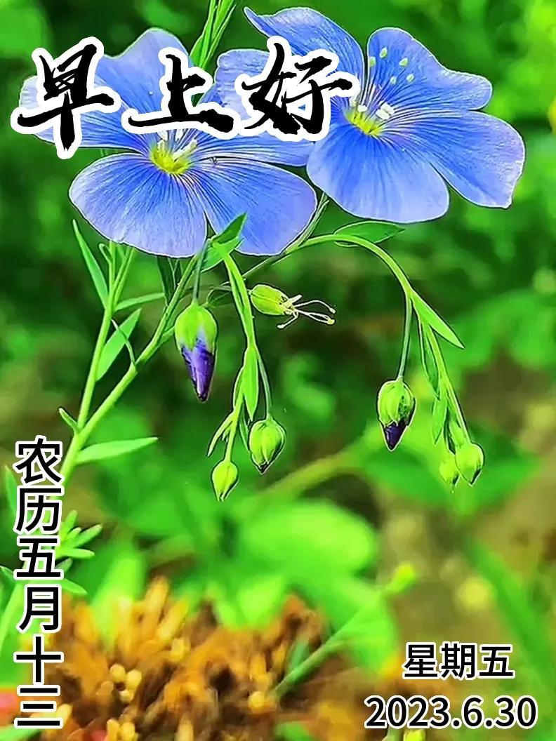 6月30日|星期五早上好!新的一天,新的问候祝福,早安图片-江陵县社区