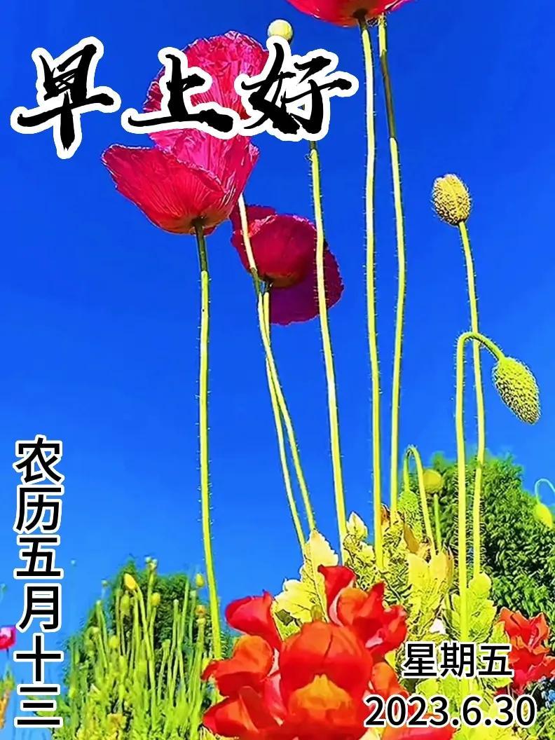 6月30日|星期五早上好!新的一天,新的问候祝福,早安图片-江陵县社区