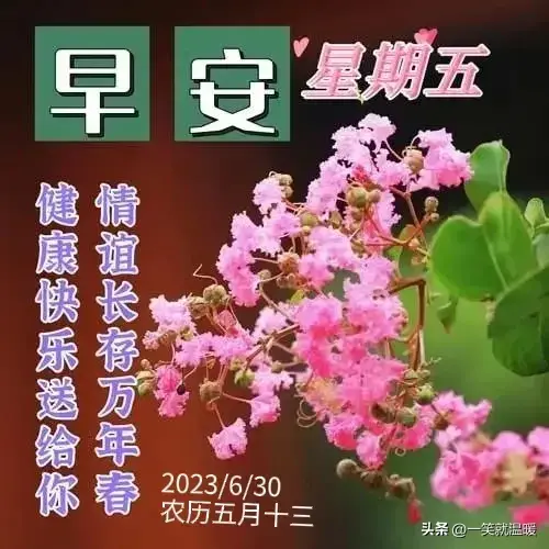 6月30日早安祝福问候图片,周五快乐早晨,平安健康-2021年6月30日早上好