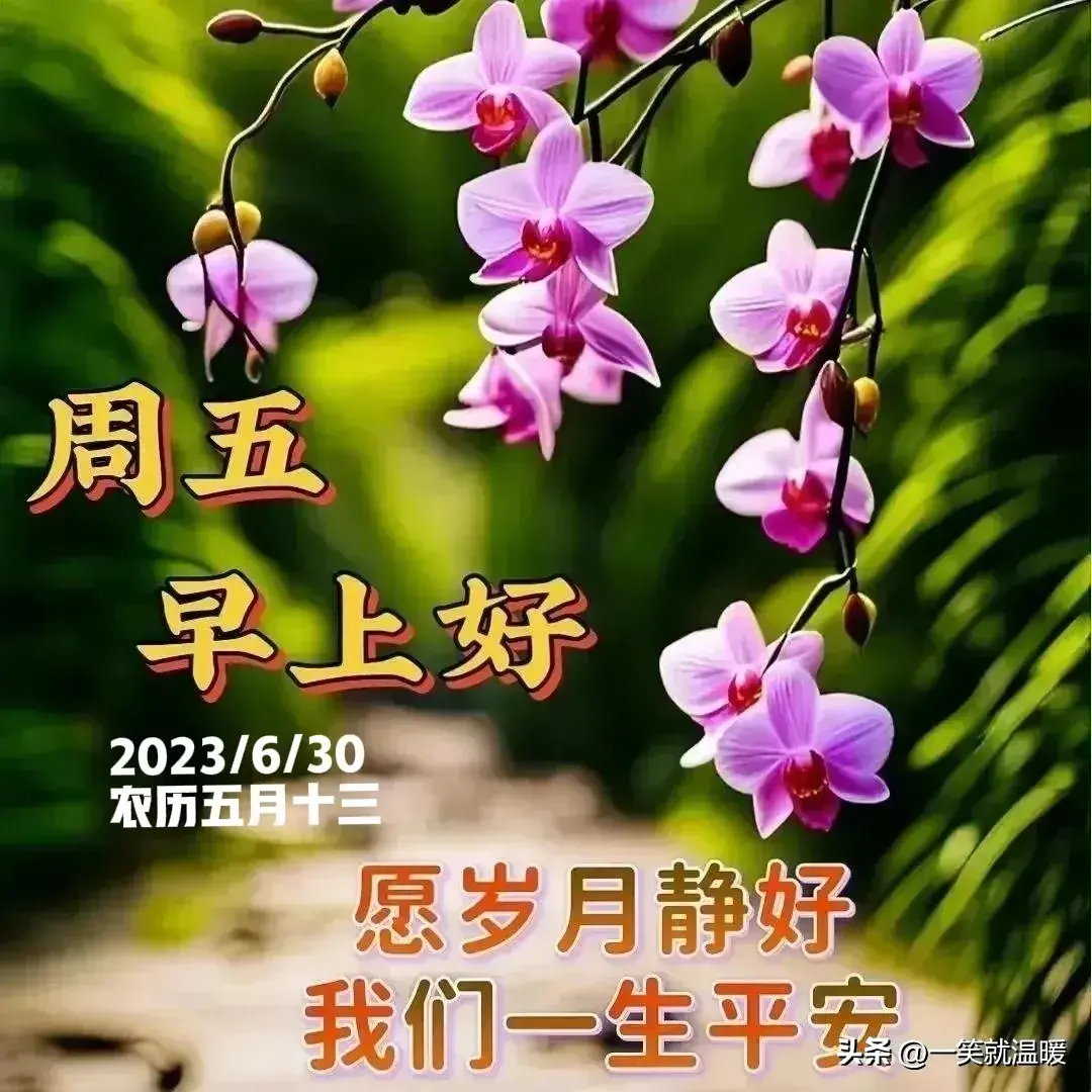 6月30日早安祝福问候图片,周五快乐早晨,平安健康-2021年6月30日早上好