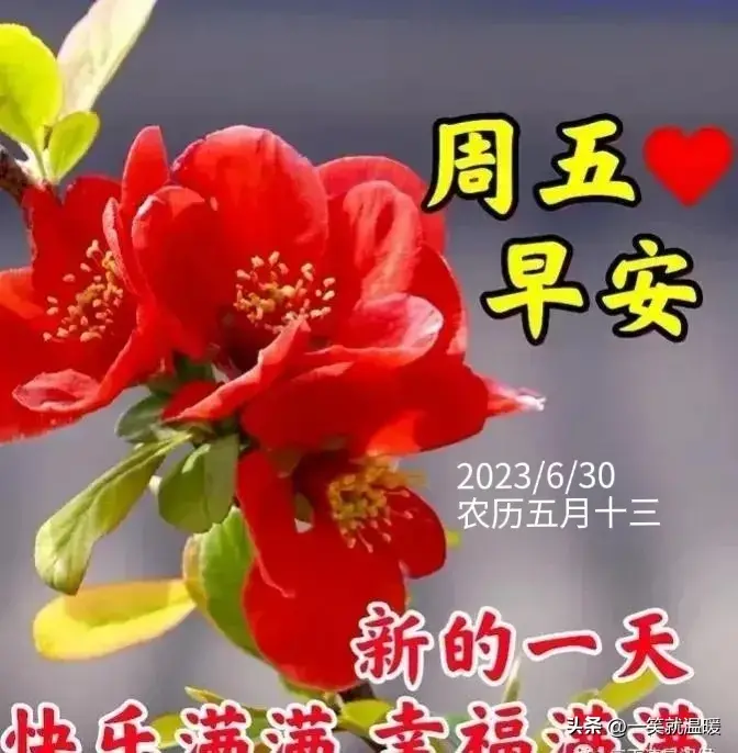 6月30日早安祝福问候图片,周五快乐早晨,平安健康-2021年6月30日早上好