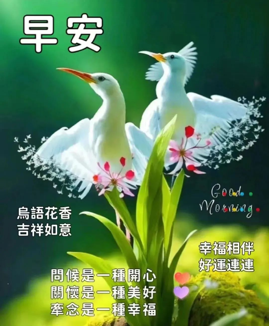 7月1日早上好,精选周六早安祝福图片带字带早上好问候语,新的一天吉祥如意!周六愉快!-7月1日早上好问候语