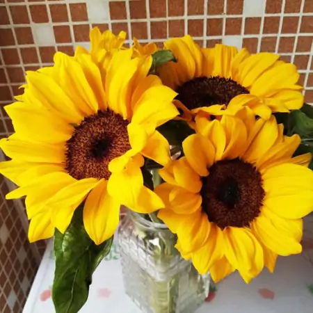 最新早上好祝福暖心问候语,很漂亮的早安祝福鲜花图片-早上好最美鲜花动态图