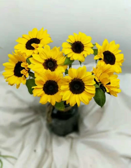 最新早上好祝福暖心问候语,很漂亮的早安祝福鲜花图片-早上好最美鲜花动态图