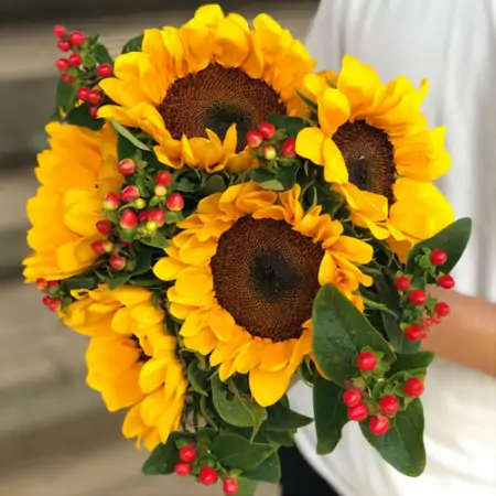 最新早上好祝福暖心问候语,很漂亮的早安祝福鲜花图片-早上好最美鲜花动态图