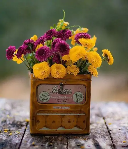 11月最美的早上好问候祝福短信句子,很漂亮的早安鲜花祝福图片-十一月早上好问候语图片