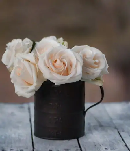 11月最美的早上好问候祝福短信句子,很漂亮的早安鲜花祝福图片-十一月早上好问候语图片