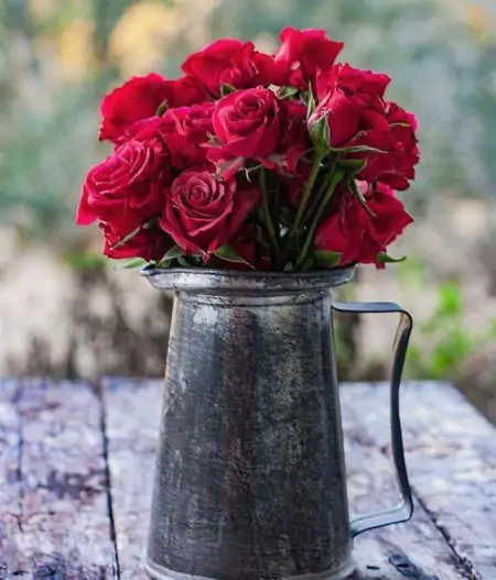 11月最美的早上好问候祝福短信句子,很漂亮的早安鲜花祝福图片-十一月早上好问候语图片