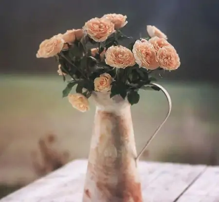 11月最美的早上好问候祝福短信句子,很漂亮的早安鲜花祝福图片-十一月早上好问候语图片