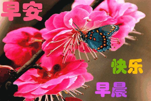 2021特别漂亮的早上好图片,每日最新早安图片-早上好图片带字温馨图片2020年