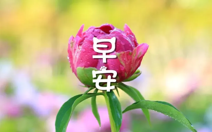 2021特别漂亮的早上好图片,每日最新早安图片-早上好图片带字温馨图片2020年