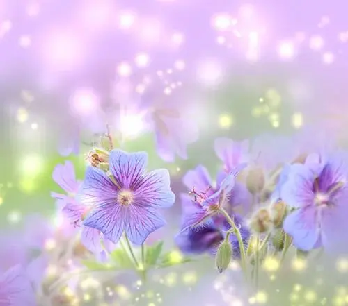 2021特别漂亮的早上好图片,每日最新早安图片-早上好图片带字温馨图片2020年