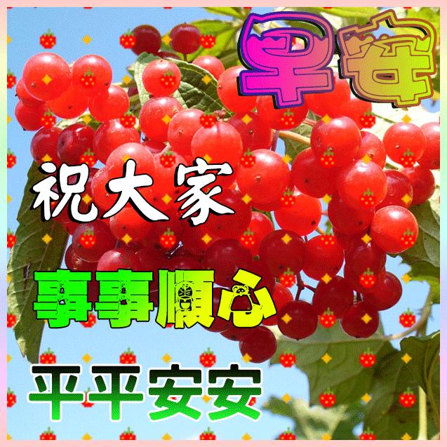 3月最新版群发早晨好问候祝福图片 2022春天最美早上好动画祝福带字表情图片大全-早上好的祝福图片可以发送的