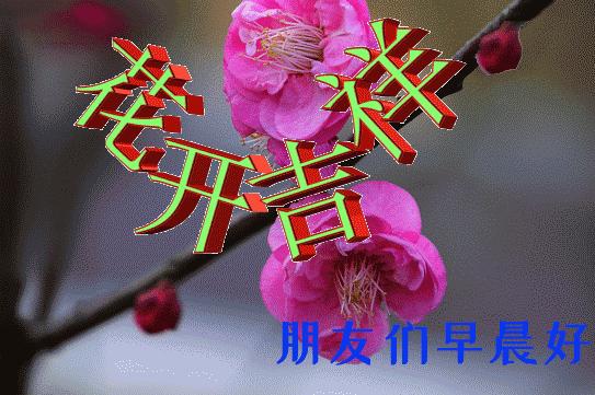 3月最新版群发早晨好问候祝福图片 2022春天最美早上好动画祝福带字表情图片大全-早上好的祝福图片可以发送的