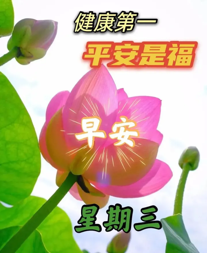 微信群发早晨好表情包图片大全 早上好问候语表情动态图片-群发早上好的问候语怎么发