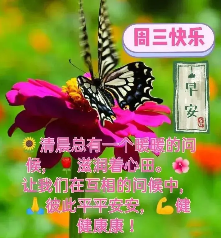 微信群发早晨好表情包图片大全 早上好问候语表情动态图片-群发早上好的问候语怎么发