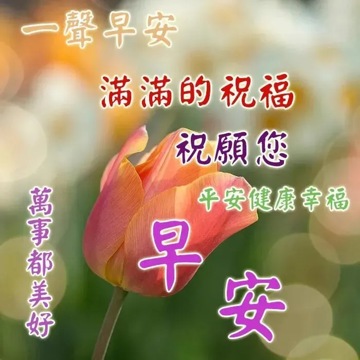 微信群发早晨好表情包图片大全 早上好问候语表情动态图片-群发早上好的问候语怎么发