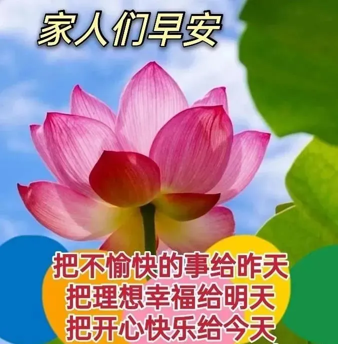 微信群发早晨好表情包图片大全 早上好问候语表情动态图片-群发早上好的问候语怎么发