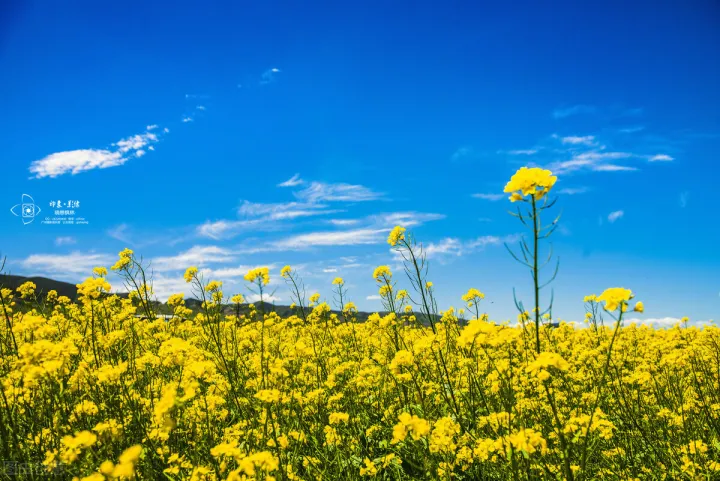 有哪些鼓励激励孩子的经典句子?-鼓励孩子的励志语