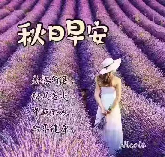 朋友圈早安暖心祝福美女问候,秋天天凉了的问候暖心句子-秋天变冷早安问候语