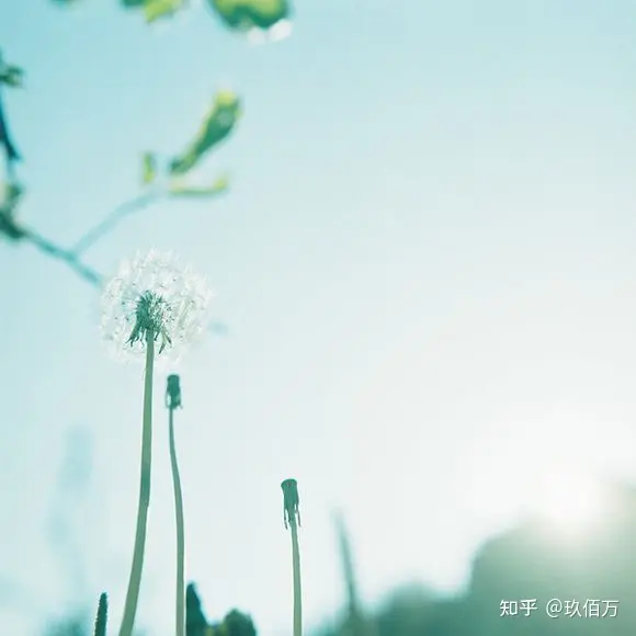 句句暖心早安心语-独一无二的早安心语