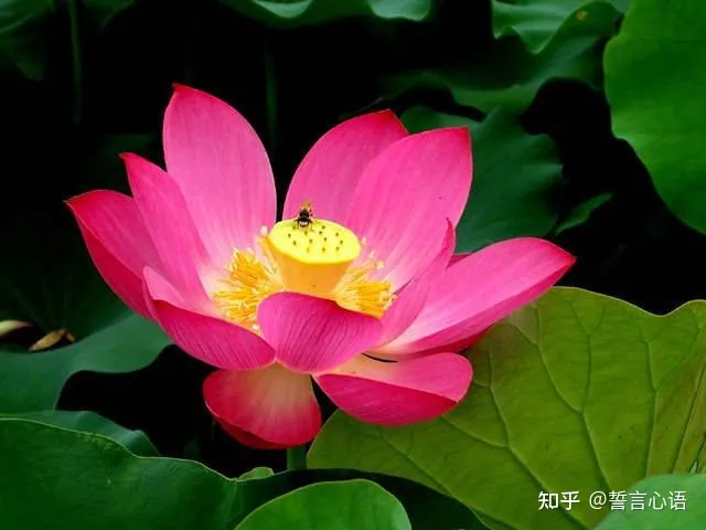 特别暖心的早安一句话,简短精致,越看越爱!-早安暖心话 一句话图片