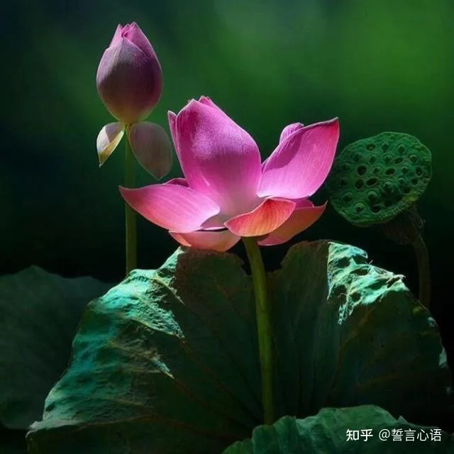 特别暖心的早安一句话,简短精致,越看越爱!-早安暖心话 一句话图片