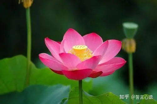 特别暖心的早安一句话,简短精致,越看越爱!-早安暖心话 一句话图片